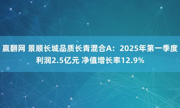 赢翻网 景顺长城品质长青混合A：2025年第一季度利润2.5亿元 净值增长率12.9%