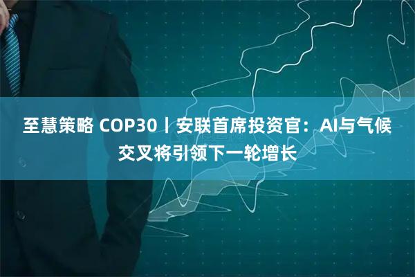 至慧策略 COP30丨安联首席投资官：AI与气候交叉将引领下一轮增长