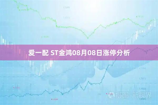 爱一配 ST金鸿08月08日涨停分析