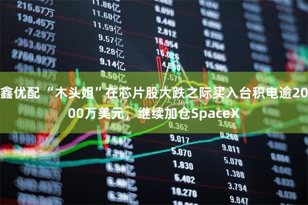 鑫优配 “木头姐”在芯片股大跌之际买入台积电逾2000万美元，继续加仓SpaceX